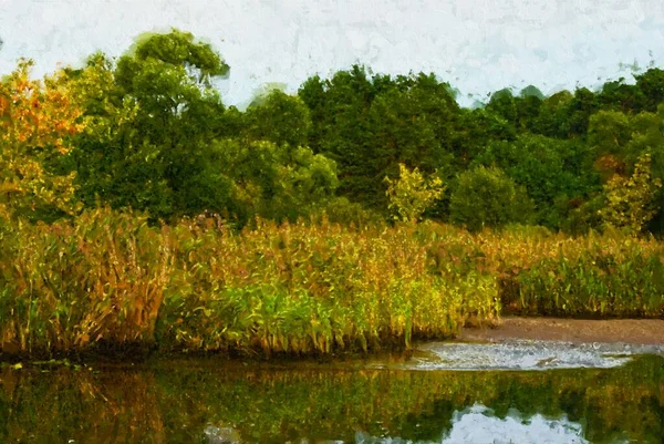 Pinturas Acrílico Paisagem Rio Havel Época Outono Land Brandeburgo — Fotografia de Stock