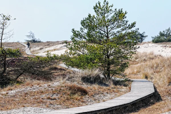 Darsser Ort at Baltic sea beach on Darss peninsula — Stock Photo, Image