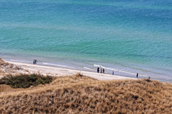 Darsser Ort på stranden på halvön Darss — Stockfoto