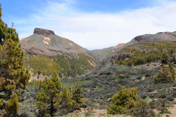 Національний парк Ель-Тейде на Тенеріфе (Іспанія) — стокове фото