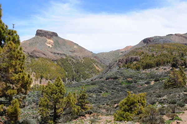 El Teide nationalpark på Teneriffa (Spanien) — Stockfoto