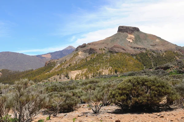 Parque Nacional El Teide em Tenerife (Espanha ) — Fotografia de Stock