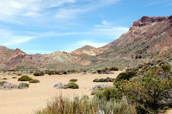 테네리페 (스페인에 el Teide 국립 공원) — 스톡 사진