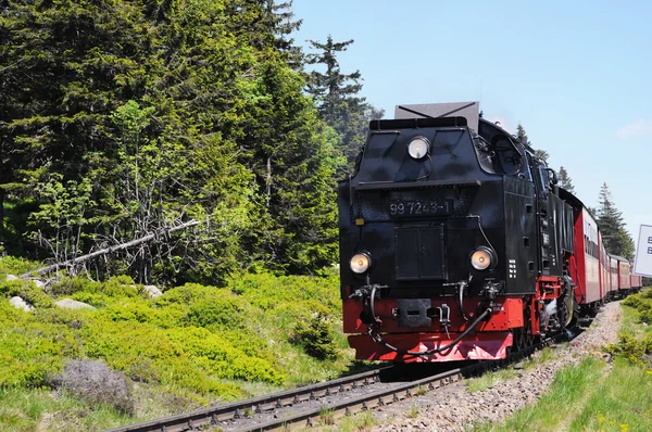 Ferrocarril a Brocken Mountain — Foto de Stock