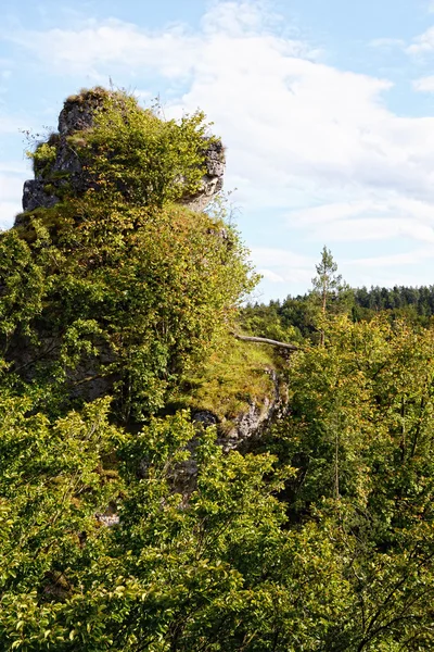 Pedras de arenito de Tarren chersfeld — Fotografia de Stock