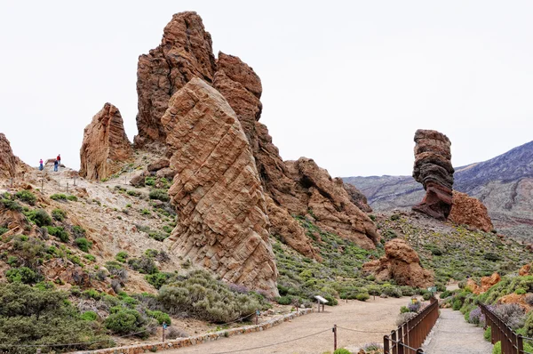 Людей, які відвідують каменеутворення roques de Гарсія — стокове фото