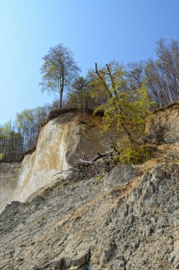 Tebeşir kayalar Rügen Adası (Almanya, Mecklenburg-Vorpommern)