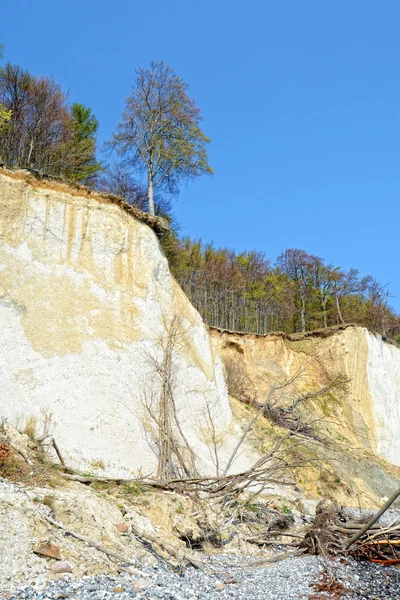 Chalk rocks of Rugen island (Germany, Mecklenburg-Vorpommern) — Stock Photo, Image