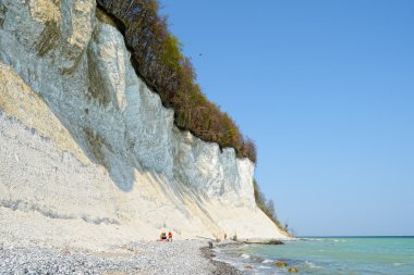 Tebeşir rock liff Rügen Adası, kıyısında fossiles kişilerin arama