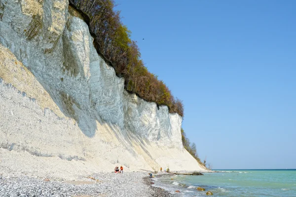 Folk söker fossiles på stranden av krita rock liff av Rugen isle — Stockfoto