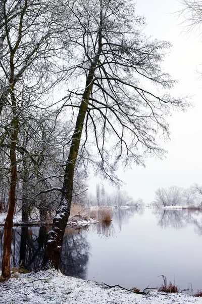 Winterlandschaft Der Havel Deutschland — Stockfoto