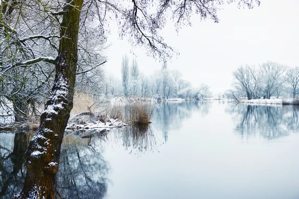 Zimní Krajina Řece Havel Německo Stock Fotografie