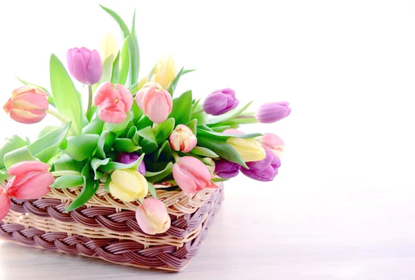 Bunch of Tulips on a basket — Stock Photo, Image