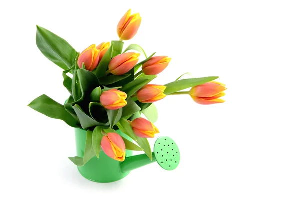 Yellow red tulips in water can vase with copy space — Stock Photo, Image