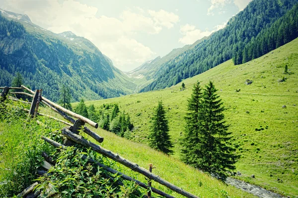Romantycznym Zillertal Krajobraz Zielonych Łąk Gór Austria — Zdjęcie stockowe