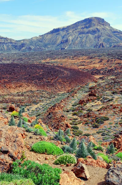 Del teide εθνικό πάρκο με το ηφαιστειακό τοπίο. — Φωτογραφία Αρχείου