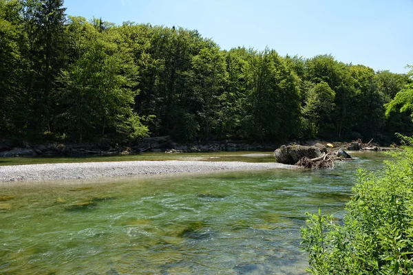 Rio Isar ao lado de Pullach (Baviera, Alemanha ) — Fotografia de Stock