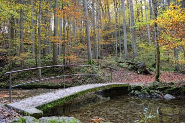 Maisinger Schlucht Bavyera yol hiking köprü
