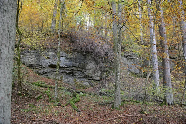 Rock falának Maisinger jár, Bajorország (Németország). Bükk előtérbe — Stock Fotó