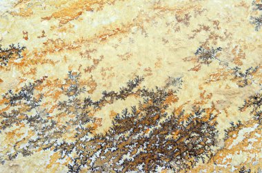 Manganez dendrites ile kireçtaşı