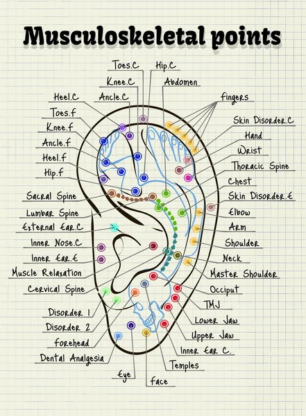 Illustration acupuncture points on the human ear — Stock Vector