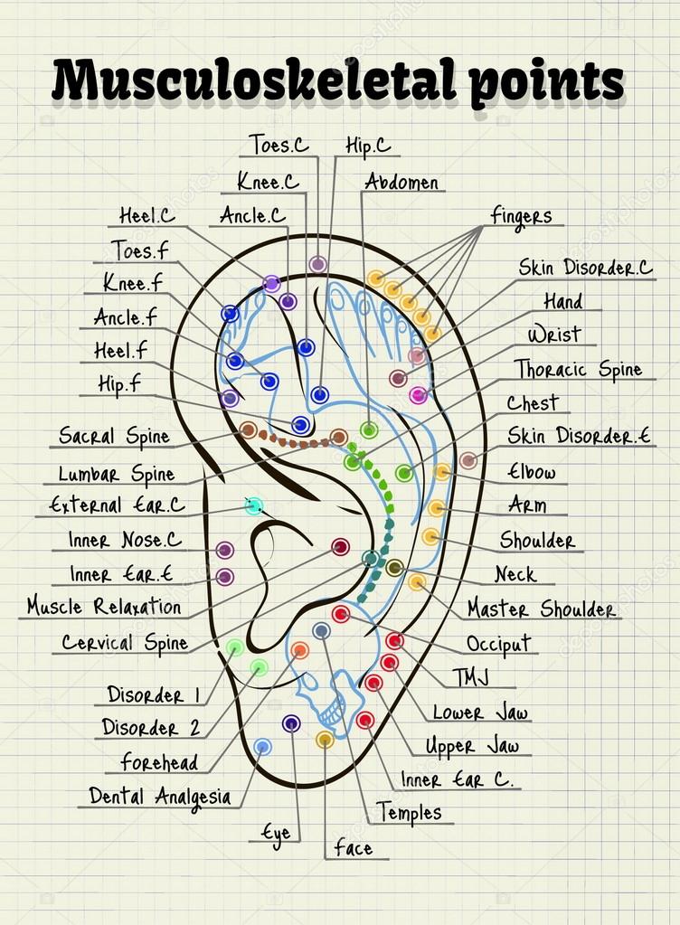 Dental Acupuncture Chart