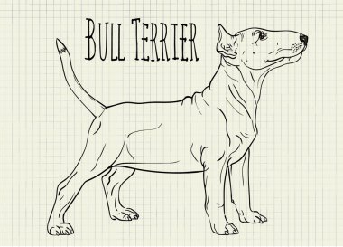 Boğa korkunç defter kağıda çizim