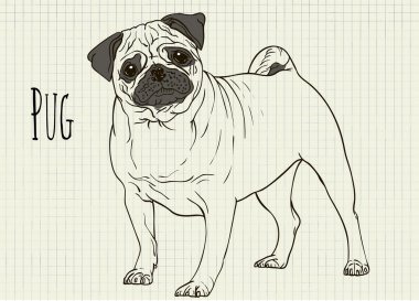 Not Defteri sayfası pug üzerinde çizim
