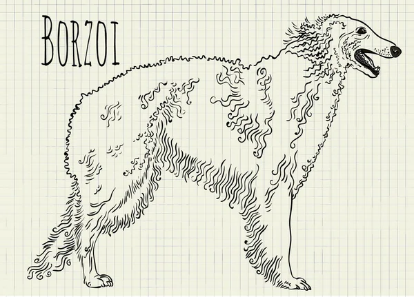 Desenho na folha de caderno Russian Hound —  Vetores de Stock