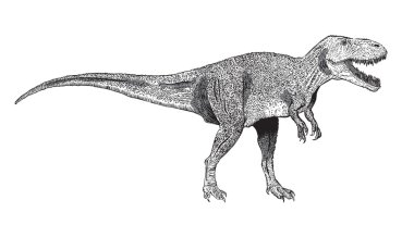 Tyrannosaurus Rex, mürekkeple çizilmiş resim