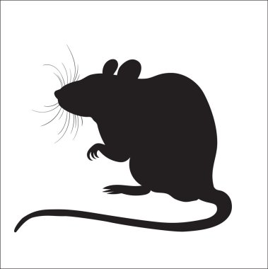 siluet bir fare resmi