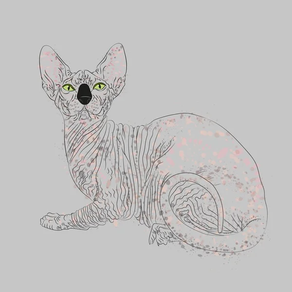 Sphynx-Katze — Stockvektor