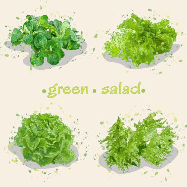 yeşil salata