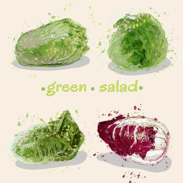 Salada verde11 — Vetor de Stock