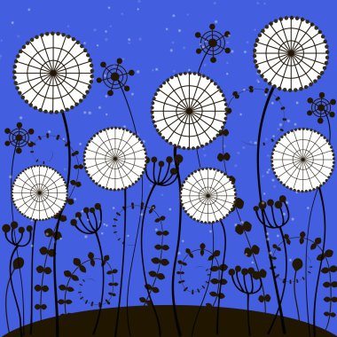 parlak mavi arka plan beyaz dandelions ile