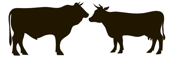 Vaca e touro —  Vetores de Stock