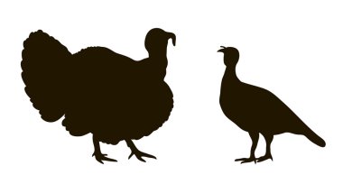 silhouette of turkeys clipart