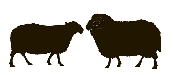 Silhouet van de schapen — Stockvector