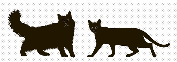 Silhouetten sibirischer und bengaler Katze — Stockvektor