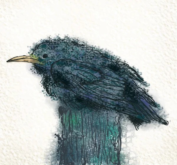 Kleine Amsel — Stockvektor