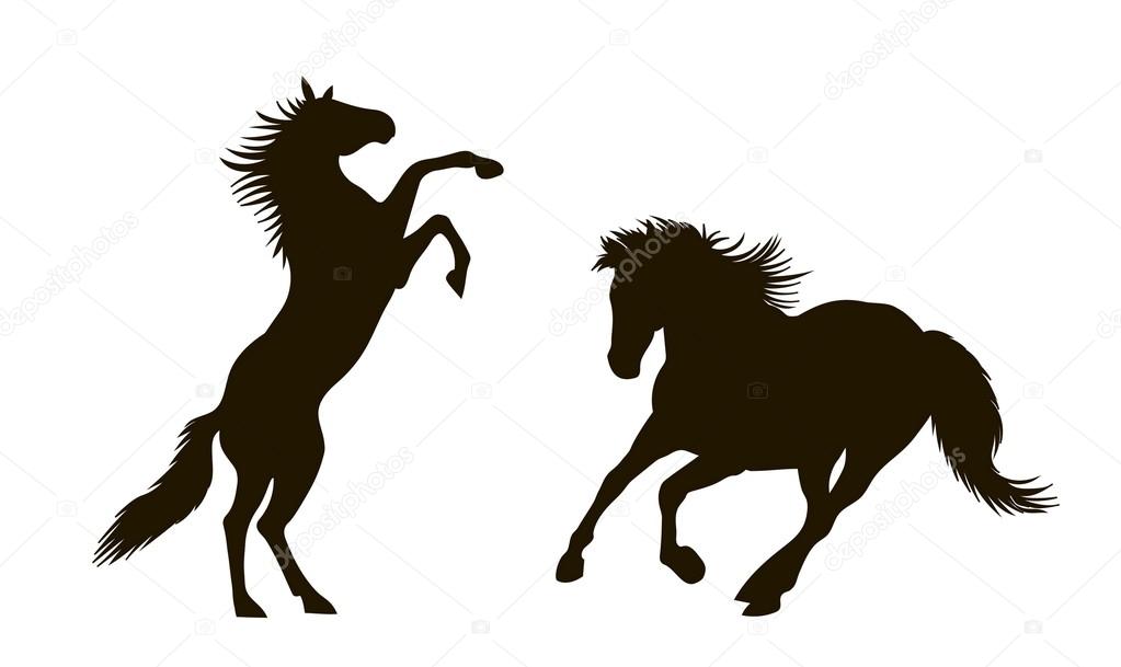 silhouettes of horses in motion