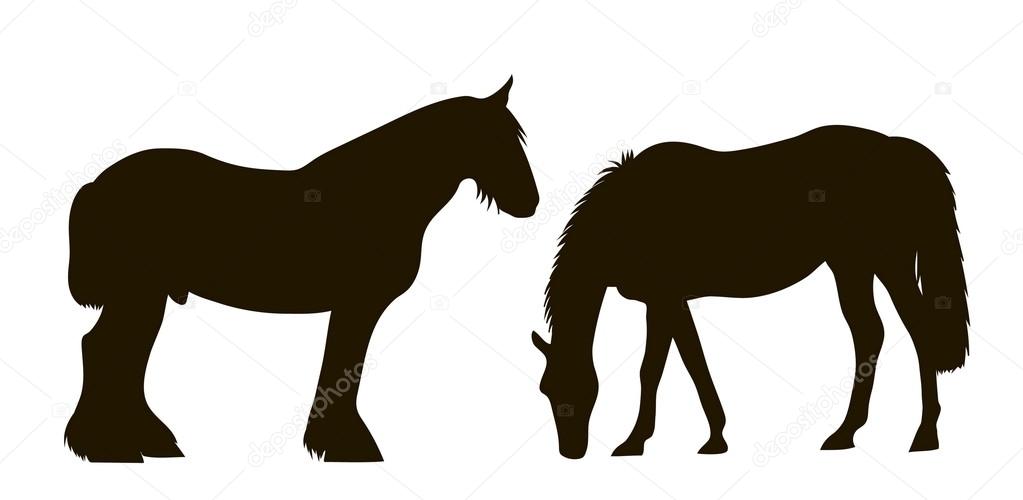silhouettes of two horses standing