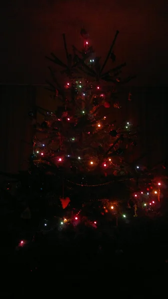 Christmas tree in the dark — Stock Photo, Image