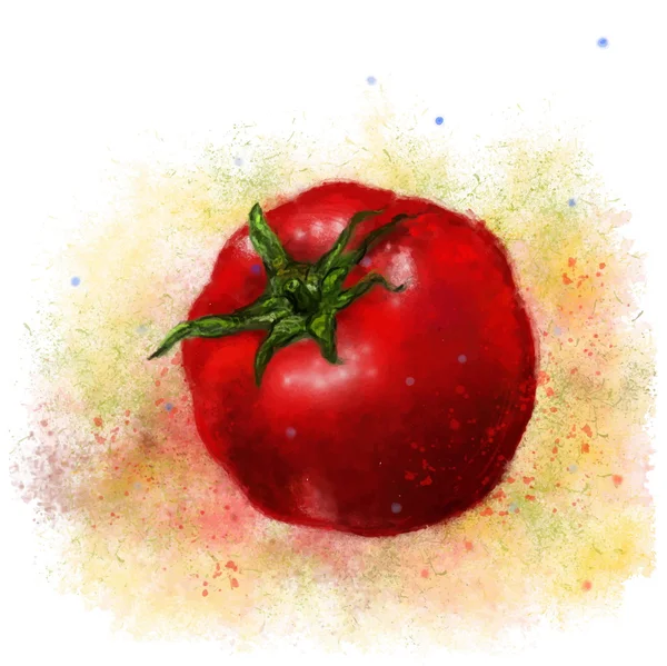 Tomato drawn with paints — Stock Vector
