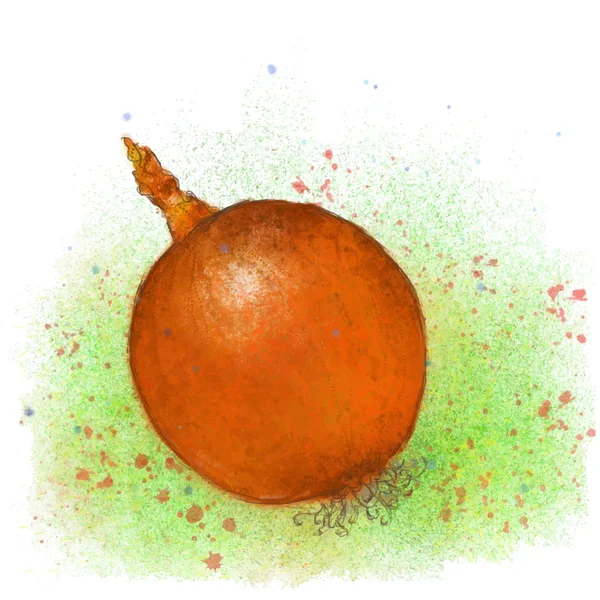 Κρεμμύδι ζωγραφισμένο με χρώματα — Διανυσματικό Αρχείο