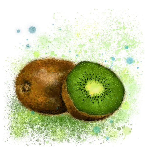 Akvarel kiwi — Stockový vektor