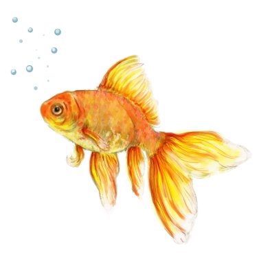 renkler boyalı goldfish