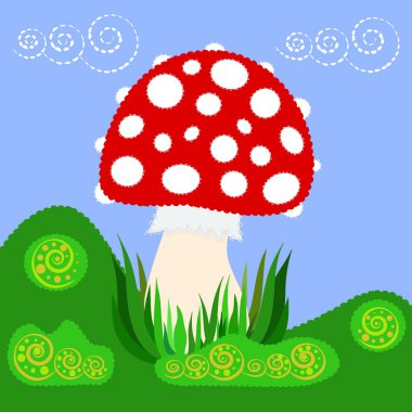 Amanita bir çayırda