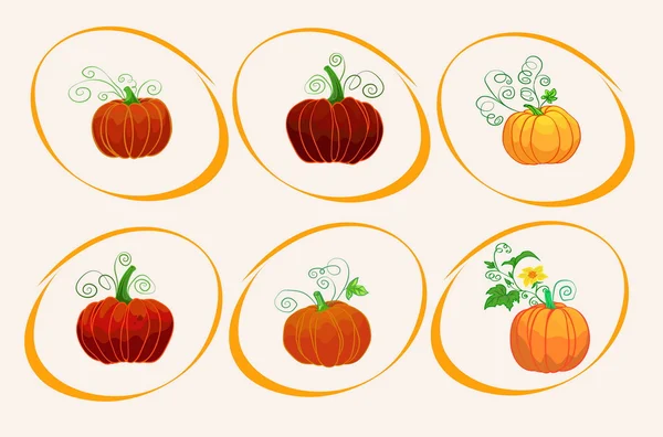 Vector six different pumpkins — Stock Vector