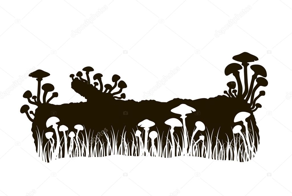 silhouette of black and white mushrooms on a log in the grass
